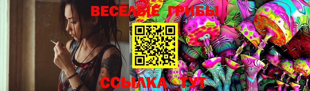 Галлюциногенные грибы Cubensis Асино