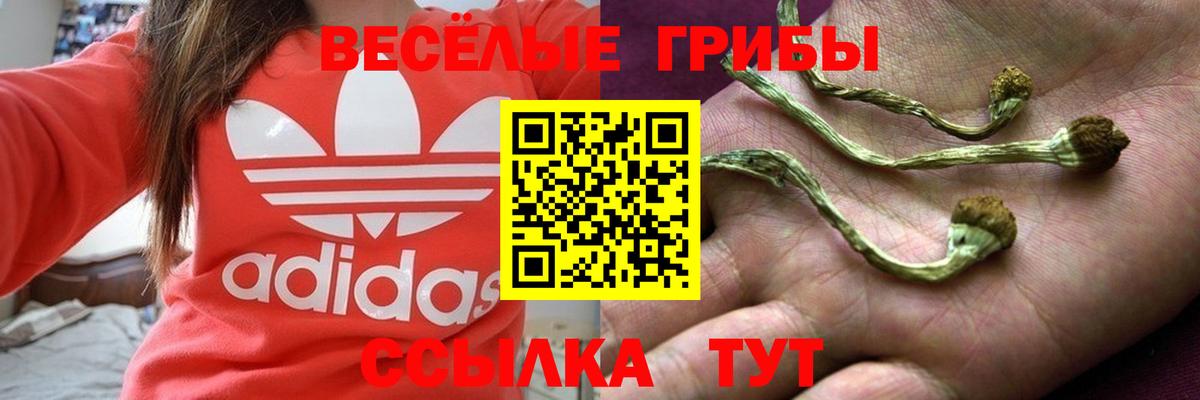 Псилоцибиновые грибы прущие грибы  Вход с VPN  купить наркоту  Асино  Галлюциногенные грибы мицелий 
